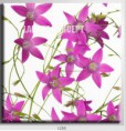 /album/photo-gallery-canvas-uri/decoratiuni-de-perete-canvas-lc-1250-jpg/